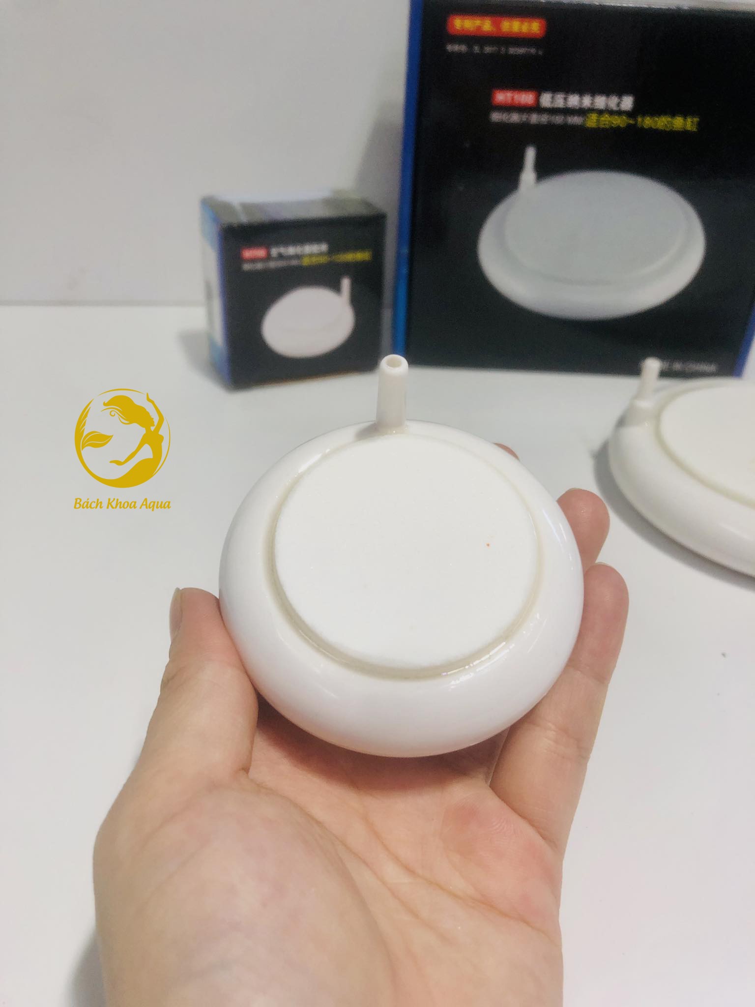 Đĩa sủi siêu mịn HT50 - HT100 cho bể cá